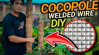 SUPER TIPID NA COCO POLE : EASY TUTORIAL