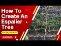 How To Espalier Fruit Trees