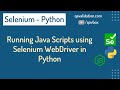 All about running javascript using selenium python