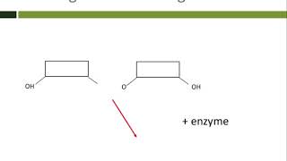 Monomers and polymers