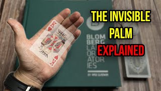 What is The Invisible Palm?