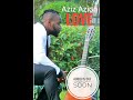 Love by Aziz Azion