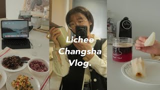 Vlog.长沙生活/工作很忙也有好好照顾自己的一周/去宜家买新椅子/给自己做好吃的饭菜/买了一个新包包/独自在家吃烧烤/沉迷于喝石榴云雾绿茶美式/一些工作碎片