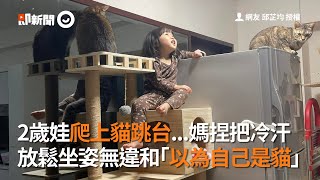 2歲娃「以為自己是貓」爬上貓跳台！放鬆坐姿無違和｜寵物動物｜萌娃｜搞笑