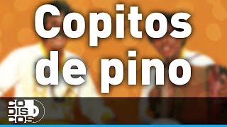 Copitos De Pino, Binomio De Oro - Audio