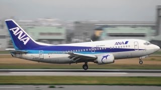 [Smile Dolphin] ANA Wings Boeing 737-500 JA8500 LANDING KOMATSU Airport,JAPAN 小松空港 2012.5.5