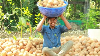 EDIBLE KOPRA MAKING/ തേങ്ങയിൽ 🥥🥥നിന്നും കൊപ്രയിലേക്കുള്ള യാത്ര(coconut oil )@coconutoil @kopra @pala