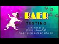 hearing test for dogs baer testing