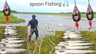 Wallago catfish Video | Tengara Fish catching | Murrel Mash macli | Ahtesham khan Fishing