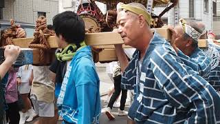 令和元年　お祭り散歩　品川　荏原神社　神輿渡御　宮入り道中　2019.6.8