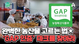 인증된 신선한 농산물을 고르는 법★ GAP 인증 마크를 아십니까? #GAP인증 | 행복한 아침 1511 회