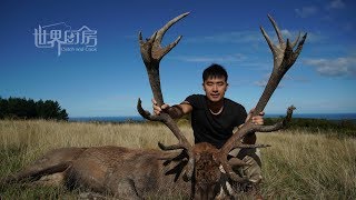 第86集  新西兰猎场角逐红鹿，野外现烤极致美味  Red deer hunting in Newzealand