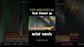 වෑන් එකෙන් ආ හරක් හොරු - Hiru News