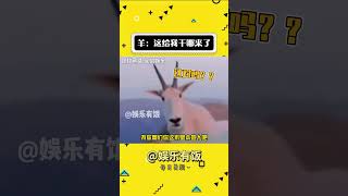 羊:这给我干哪来了 #娱乐评论大赏 #搞笑 #万万想不到#shorts