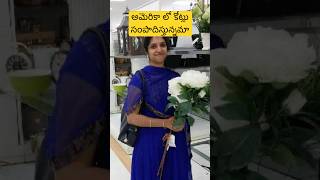 అమెరికా లో కోట్లు సంపాదిస్తున్నమా?🤔#lifeinusa#usateluguvlogs# @Anuvlogsinusa