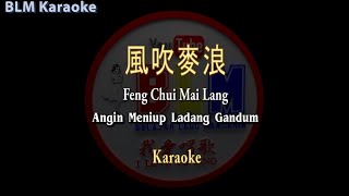 Feng Chui Mai Lang - 風吹麥浪 - Karaoke - Female - Terjemahan - Pinyin - Lyrics - Lirik