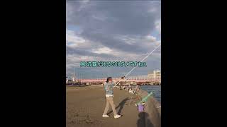 浜名湖弁天島　久しぶりにＶ字投法してみた　竿：×シマノ→○ダイワ　＃浜名湖　＃投げ釣り