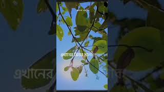 আলহামদুলিল্লাহ এখন আমার সবকিছু আল্লাহর উপর ছেড়ে দিছি।ওনি যা করবে তা আলহামদুলিল্লাহ! 🖤☺️