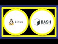 When to use Bash and when to use Perl/Python/Ruby?