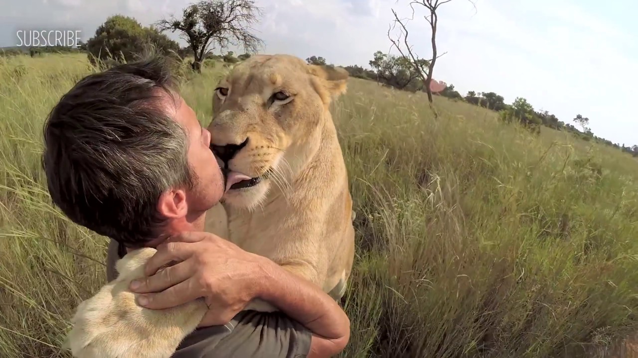 Lion Hugging The Lion Whisperer Youtube