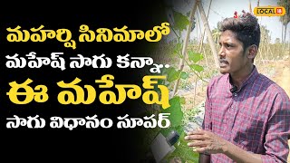 Suryapet News : మహర్షి మహేష్ సాగు కన్నా.. ఈ మహేష్ సాగు విధానం అంతకు మించి ఉందట ! #local18