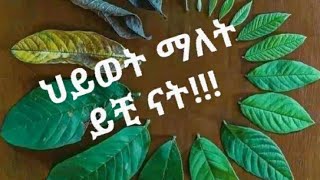 ህይወት ማለት ይች ናት