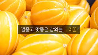 [더기반] 누리꿀 참외를 알면 좋은 시세를 받아요