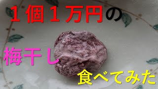 １個一万円の梅干しを食べてみた