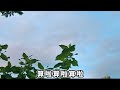 花蓮u_日常美景 愛瀟灑離去_江淑娜 _20240703