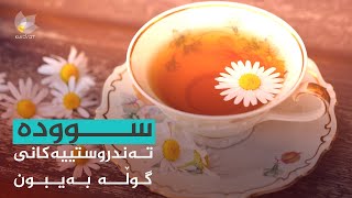 سوودە تەندروستییەکانی گوڵە بەیبوون