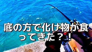 フカセ歴半年の人が那覇1文字に行くと海は容赦なかった？！（那覇一文字 真ん中）#沖縄 #沖縄釣り #釣り #ふかせ釣り #那覇1文字#那覇1文字真ん中