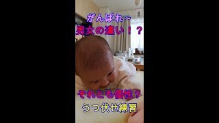 うつ伏せ練習！双子の成長は違う！？二卵性双子赤ちゃん生後82日 妹 mix twins The growth is different