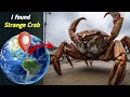 I found strange crab 🦀🤯 on google earth 🌍🔍 #maps #earth #crab #viral #googleearth #thegoovleearth09