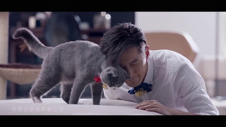 【胡歌】胡小猫日记（超暖）