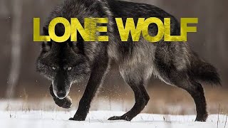 Breaking Free: How to Thrive as a Lone Wolf. lone wolf motivation