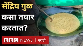 Makar Sankranti: Organic Jaggery सेंद्रिय पद्धतीने गूळ कसा तयार केला जातो? | BBC News Marathi