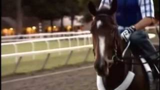 Rachel Alexandra -- Arise