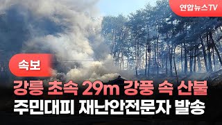 [속보] 강릉 초속 29m 강풍 속 산불…주민대피 재난안전문자 발송 / 연합뉴스TV (YonhapnewsTV)