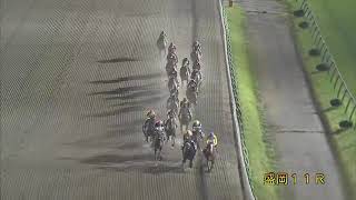 2021/10/11 盛岡競馬11R マイルチャンピオンシップ南部杯（G1）アルクトス