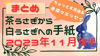 【まとめ】茶うさぎから白うさぎへの手紙 2023年11月後半