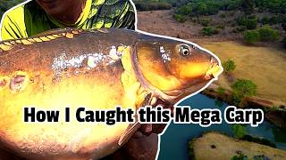 What's the SECRET to Catching 41 Pound Monster Carp?