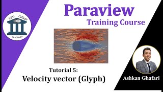 How to draw velocity vectors in 3D simulation in Paraview? | Paraview Tutorial 5