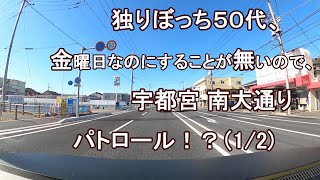 独りぼっち５０代、金曜日なのにすることが無いので、宇都宮  南大通り パトロール！？（1/2）