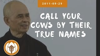 Call Your Cows By Their True Names | Dharma Talk by Thich Nhat Hanh, 2011.09.29 (Magnolia Grove)