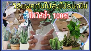 Review​ | วิธีแพคต้นไม้ส่งไปรษณีย์ ไม่ให้ช้ำ