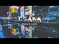 Japan Osaka travel cinematic weebill sony a7iii tamron 28 75