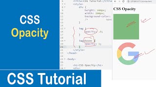 #33 CSS Opacity | Transparent Image | Transparent Hover Effect | CSS Tutorial