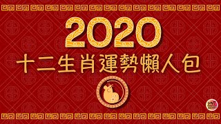 2020鼠年運程！最齊全十二生肖運程懶人包！綜合各大師分析！快來看看你的今年運勢如何！｜VNT輕鬆小棧