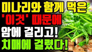 미나리와 절대로 함께 먹지마세요! 암과 치매에 걸릴 수 있습니다! 미나리 함께 먹으면 보약보다 좋은 3가지 만성염증 독소 싹 사라지는 레시피 [미나리 효능 부작용 건강 정보 꿀팁]