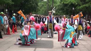 流　東京支部　さん＠2012　よさこい祭りin光が丘公園